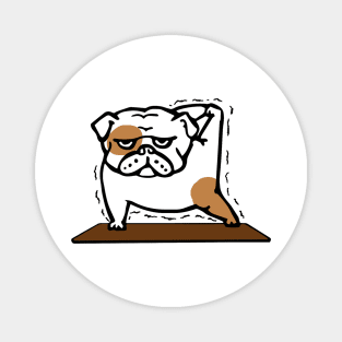 Funny bulldog in yoga pose Magnet